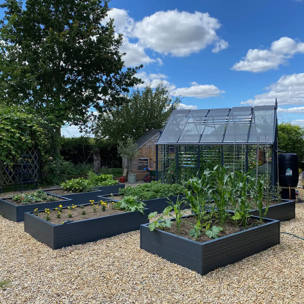 Raised garden beds, filled with various plants, are set on a gravel path near a modern Rhino Greenhouse. Lush greenery and a large tree frame the scene under a clear blue sky.