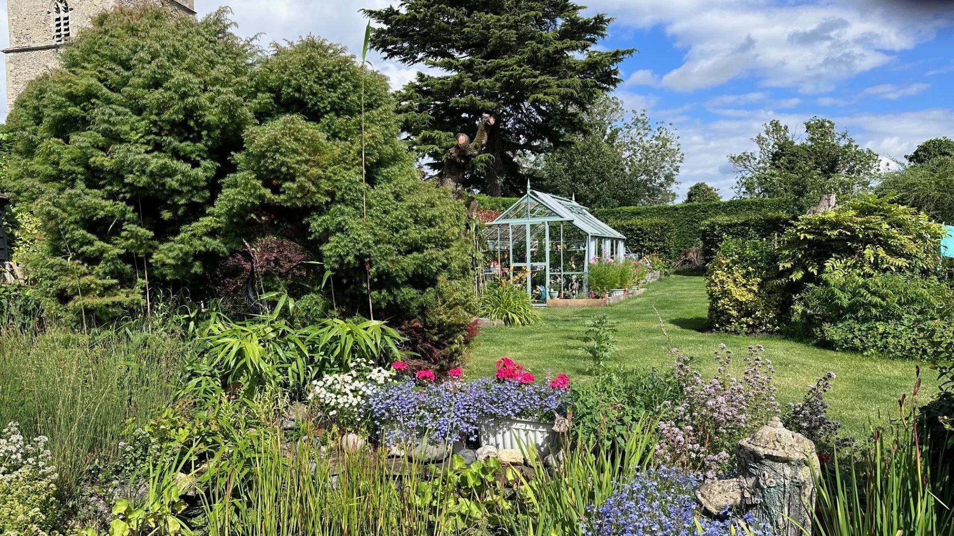 What Mistakes Should You Avoid in Your Garden