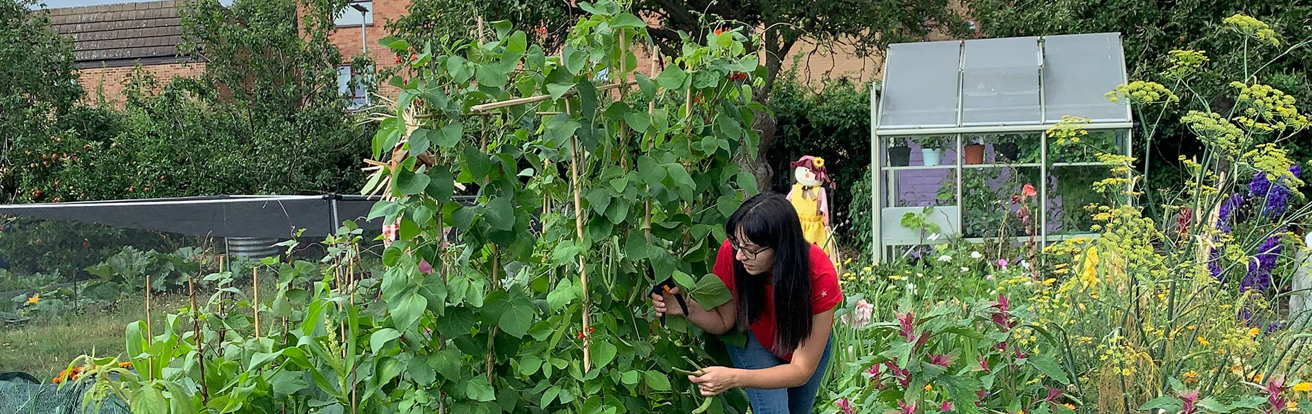 Ellen in her allotment