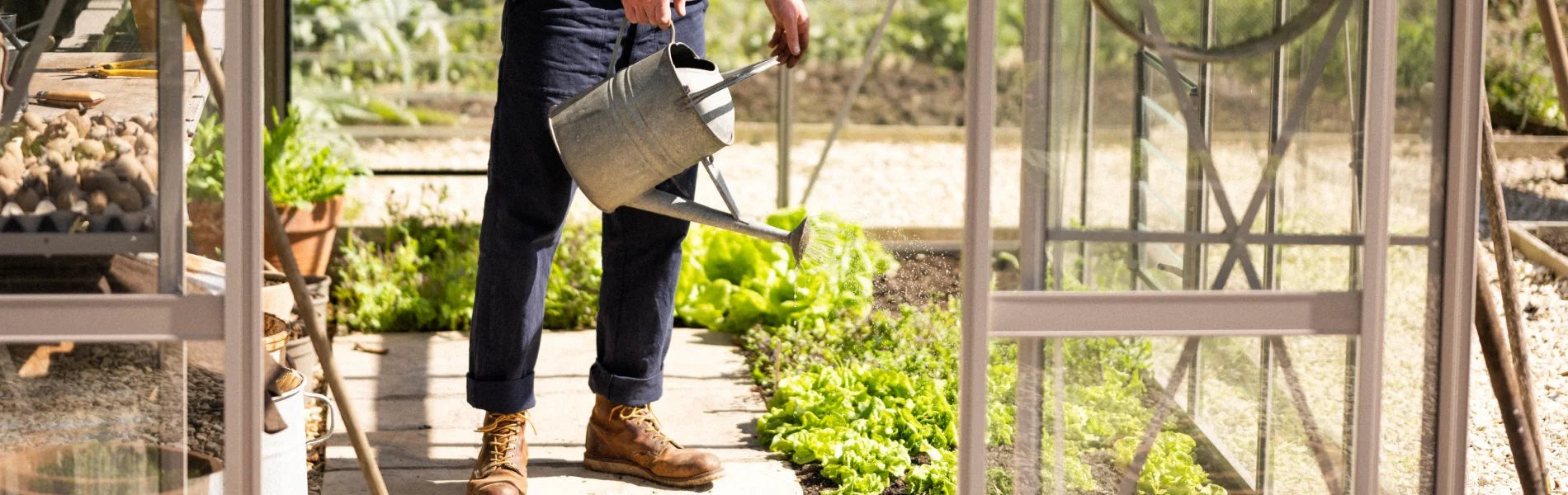 Man watering some plants in his greenhouse