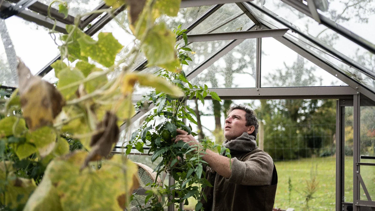 How to make the most of the remainder of the year in your garden - critical jobs to do