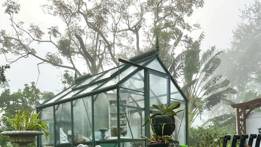 Wind-proofing your greenhouse: tips to prepare your greenhouse for storms