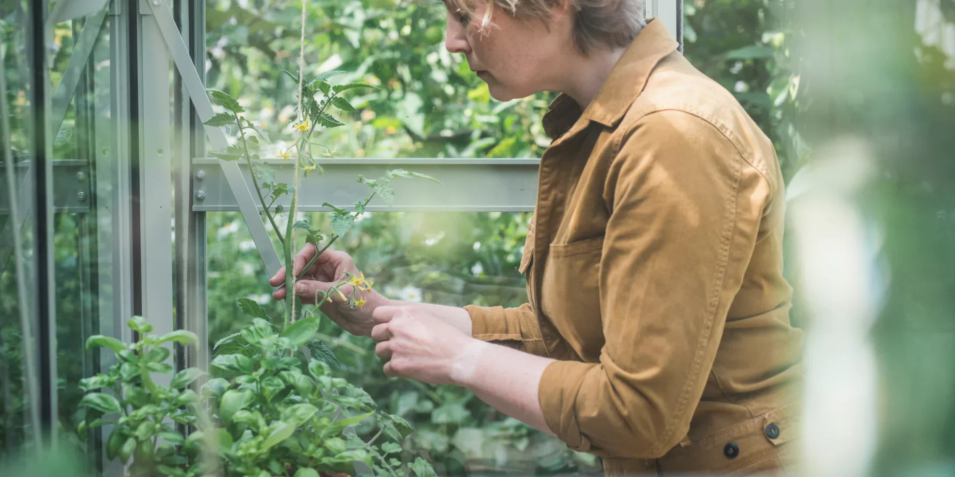 How can you make your garden grow on a budget?