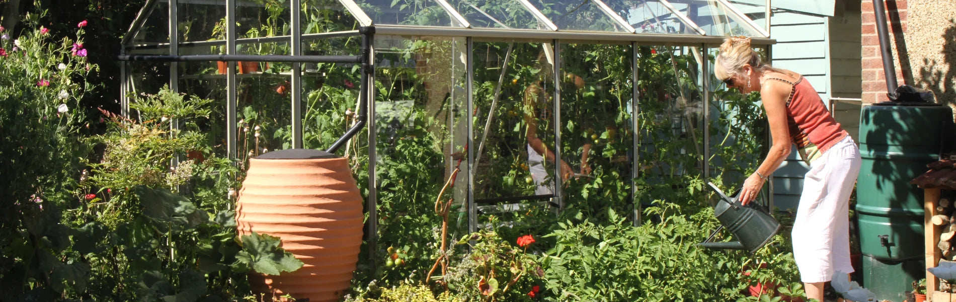 Lady's greenhouse full of plants