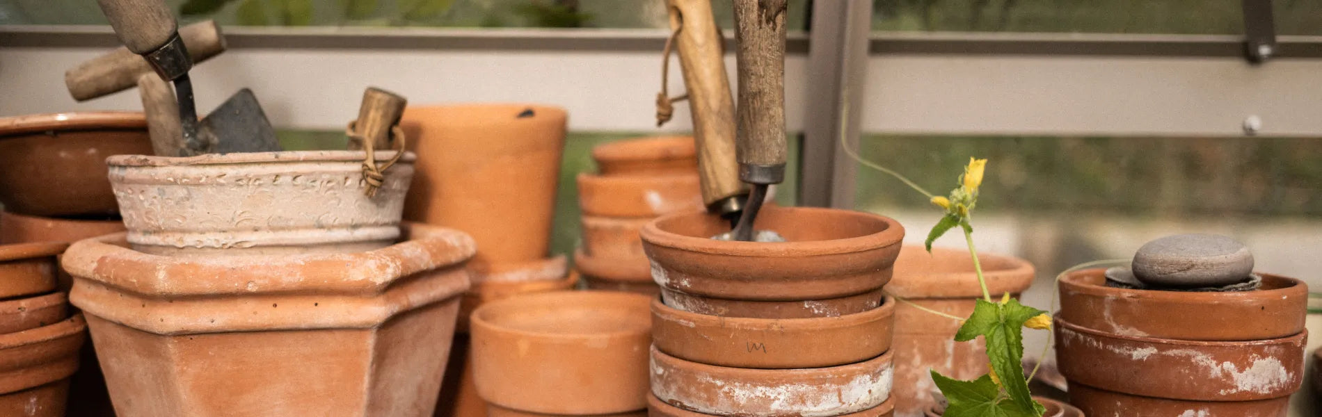 Selection of empty pots ready for sowing