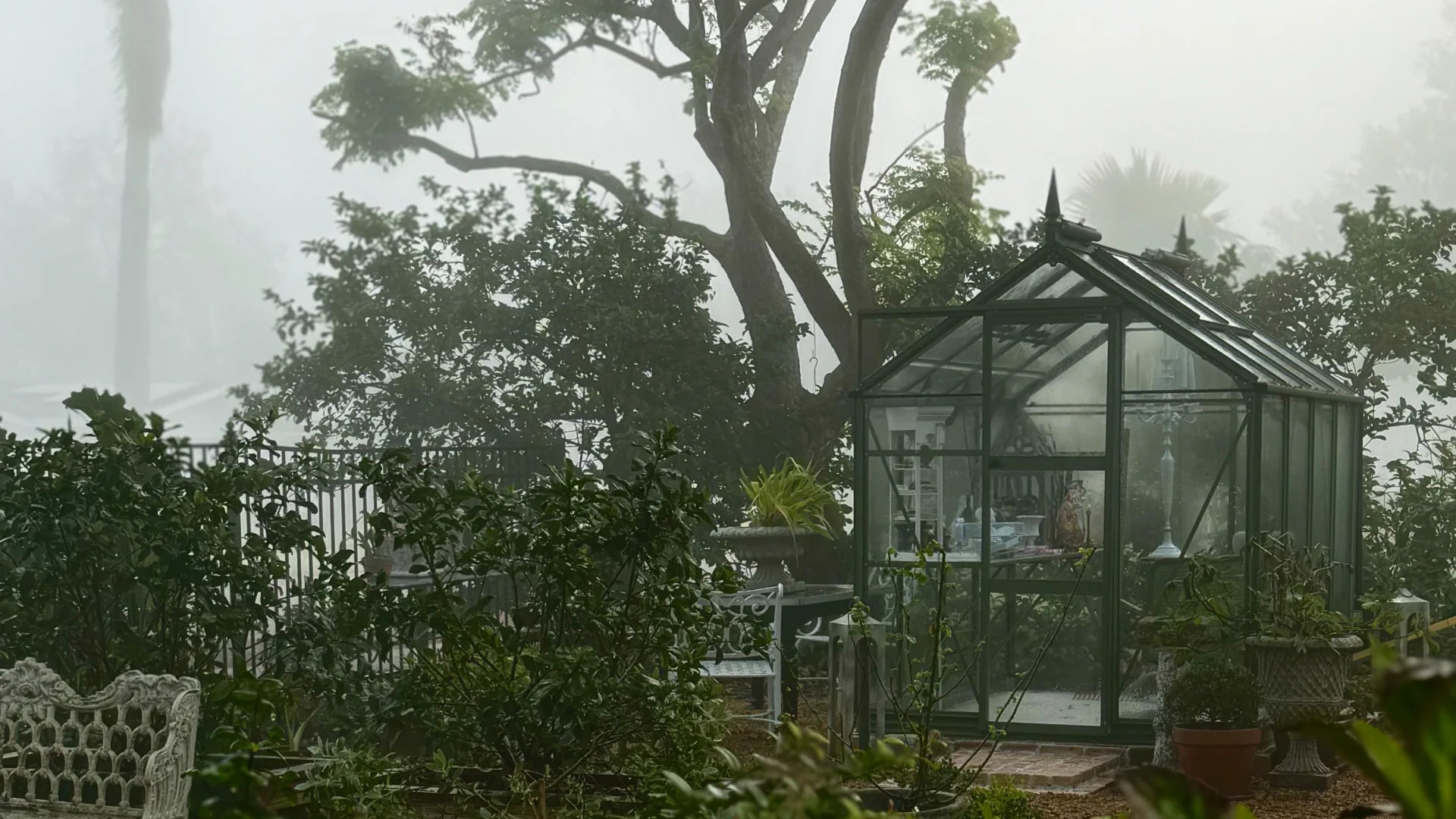 Rhino Greenhouse in a hurricane