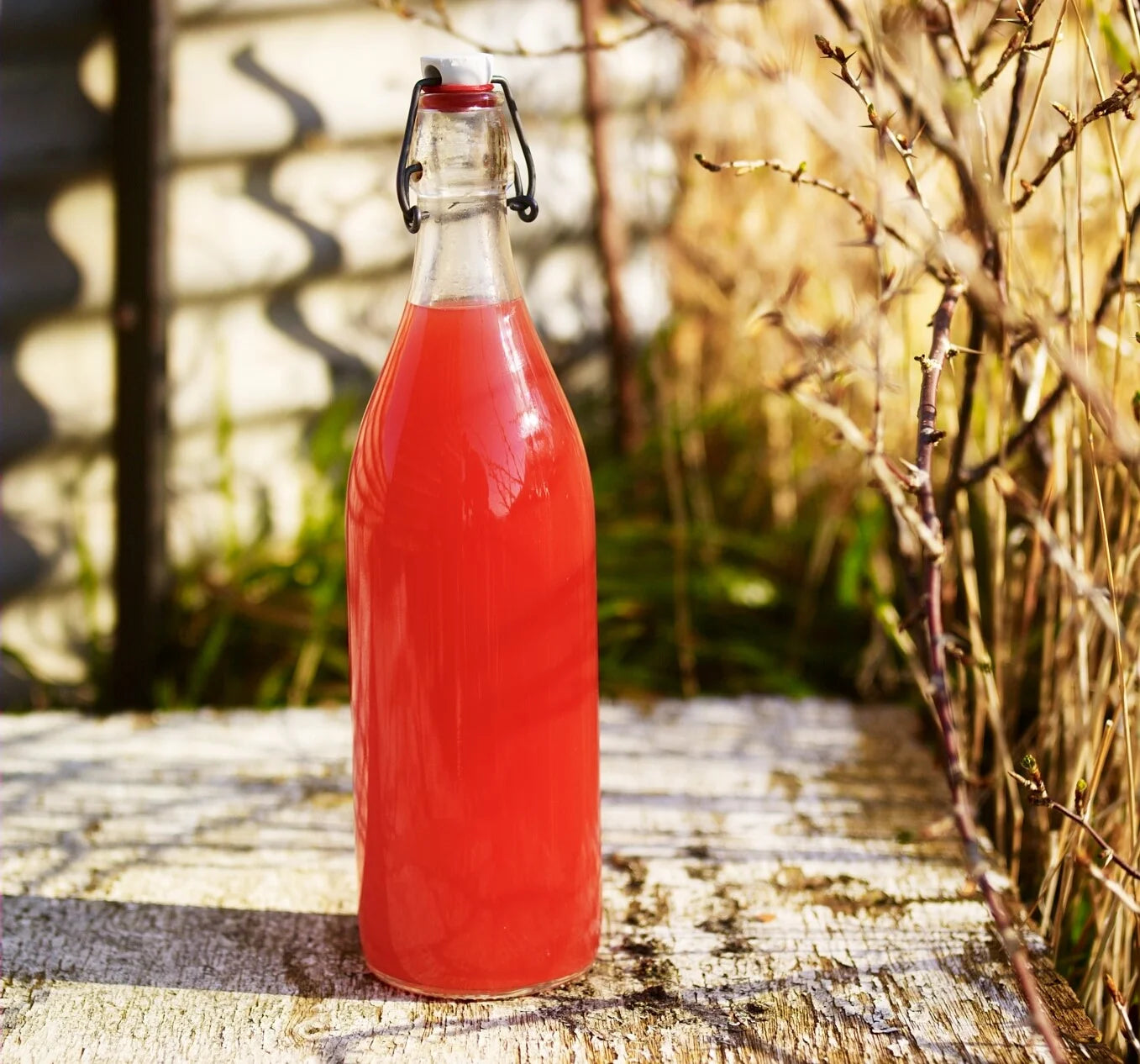 Rhubarb Cordial Recipe