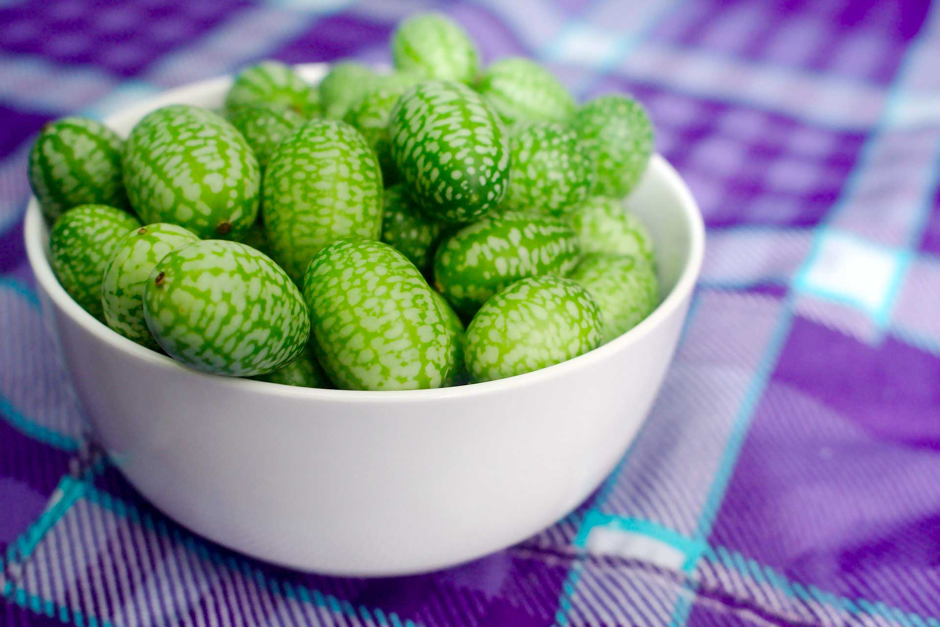 Cucamelons - A worthy crop?