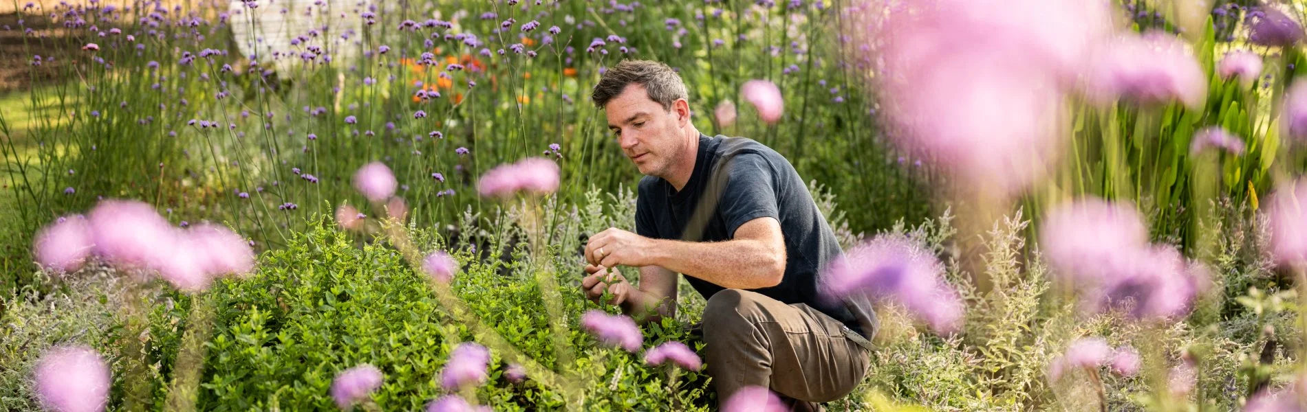 Gill picking flowers