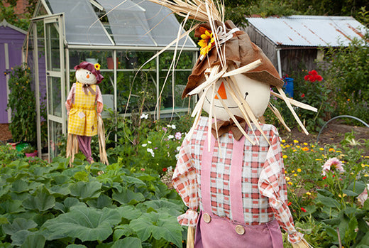 Hawkwell Herbology: Allotments - A Family Legacy