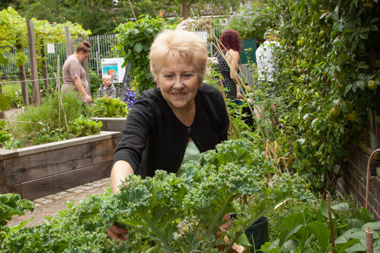 Grapes Hill Community Garden - Lilian