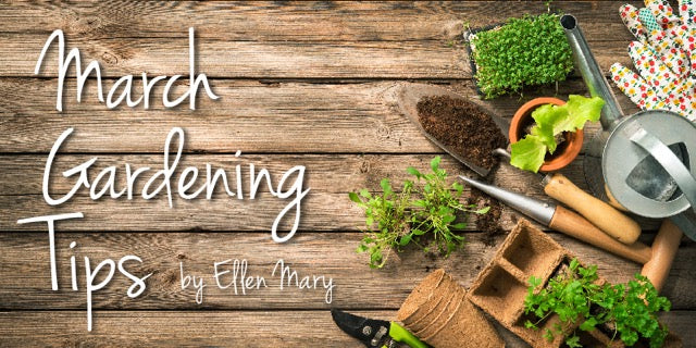 March Gardening Tips