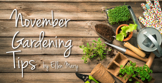 November Gardening Tips