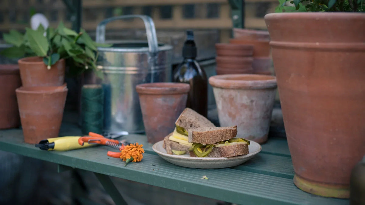 Miria's Harris Greenhouse Pickle