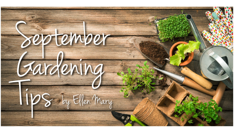 September Gardening Tips