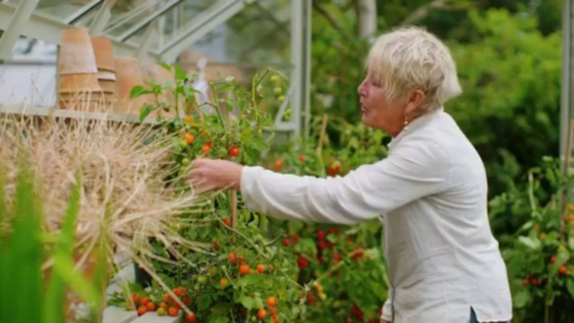 There's a Rhino in Whose Garden?! Carol Klein