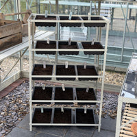Rhino Seedrack 15 Tray
