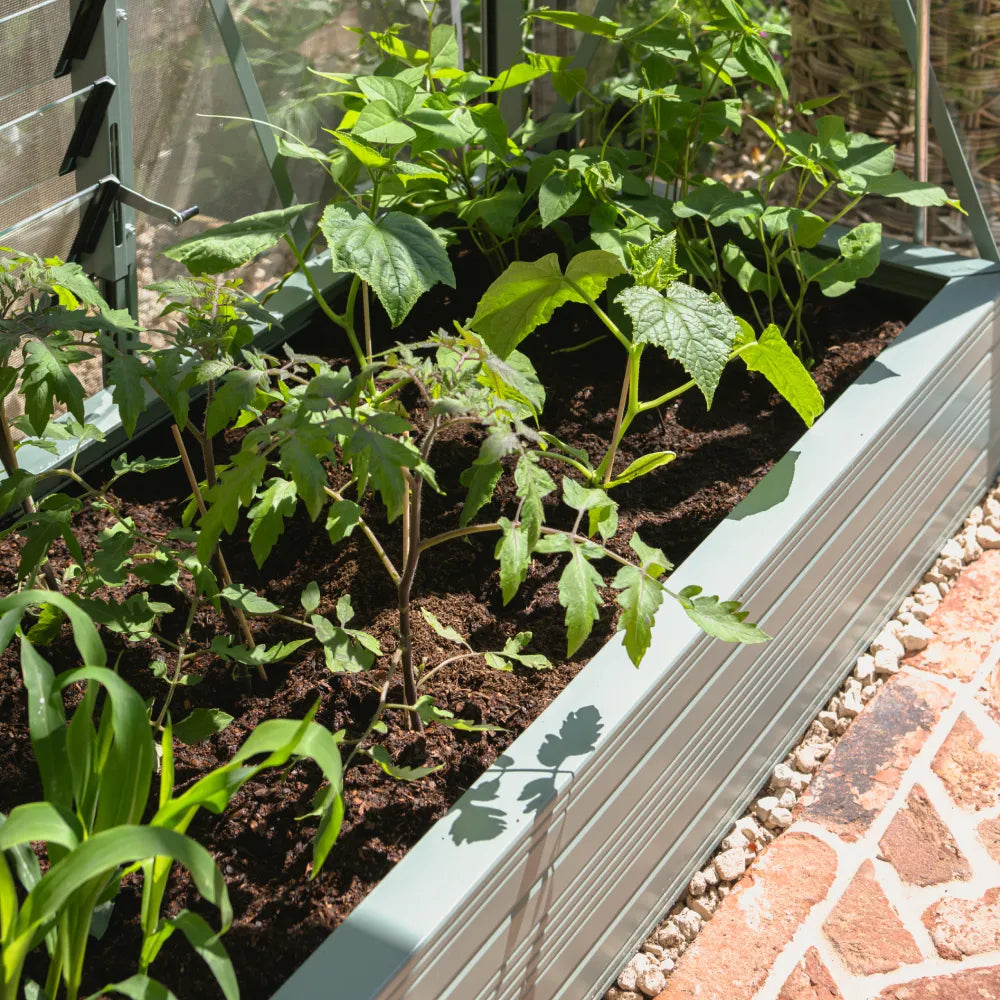 Single Tier Raised Bed Blue Grass