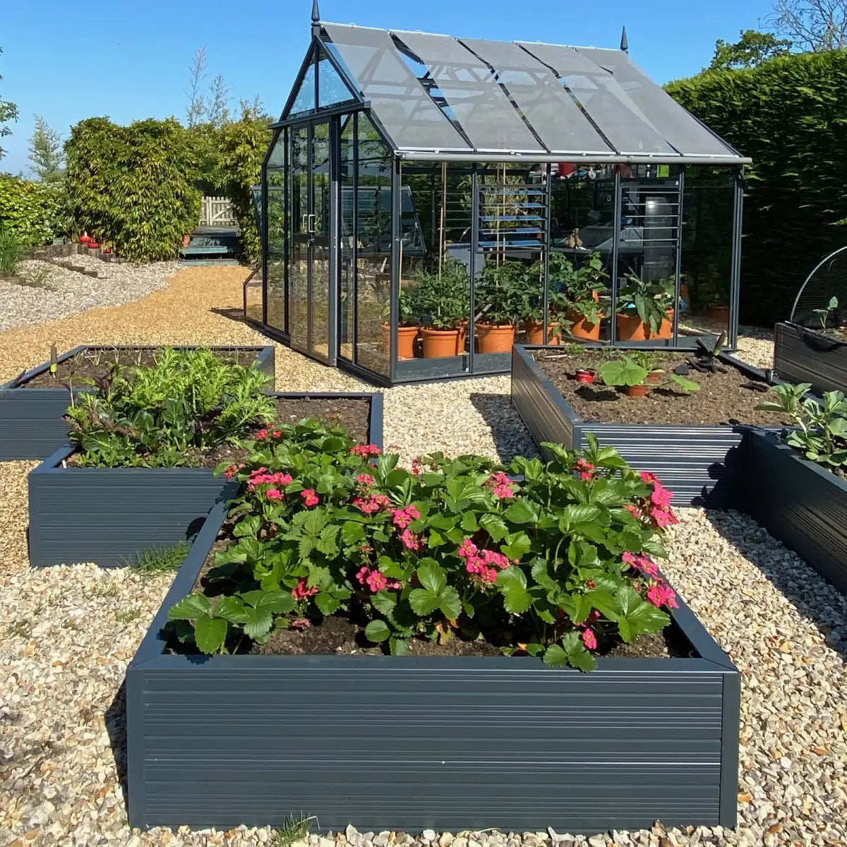 4x4 raised beds planted