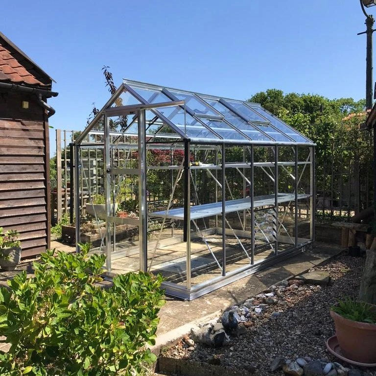 A glass Rhino Greenhouse stands on a sunlit garden patio surrounded by plants and a wooden structure with neatly arranged potted plants inside