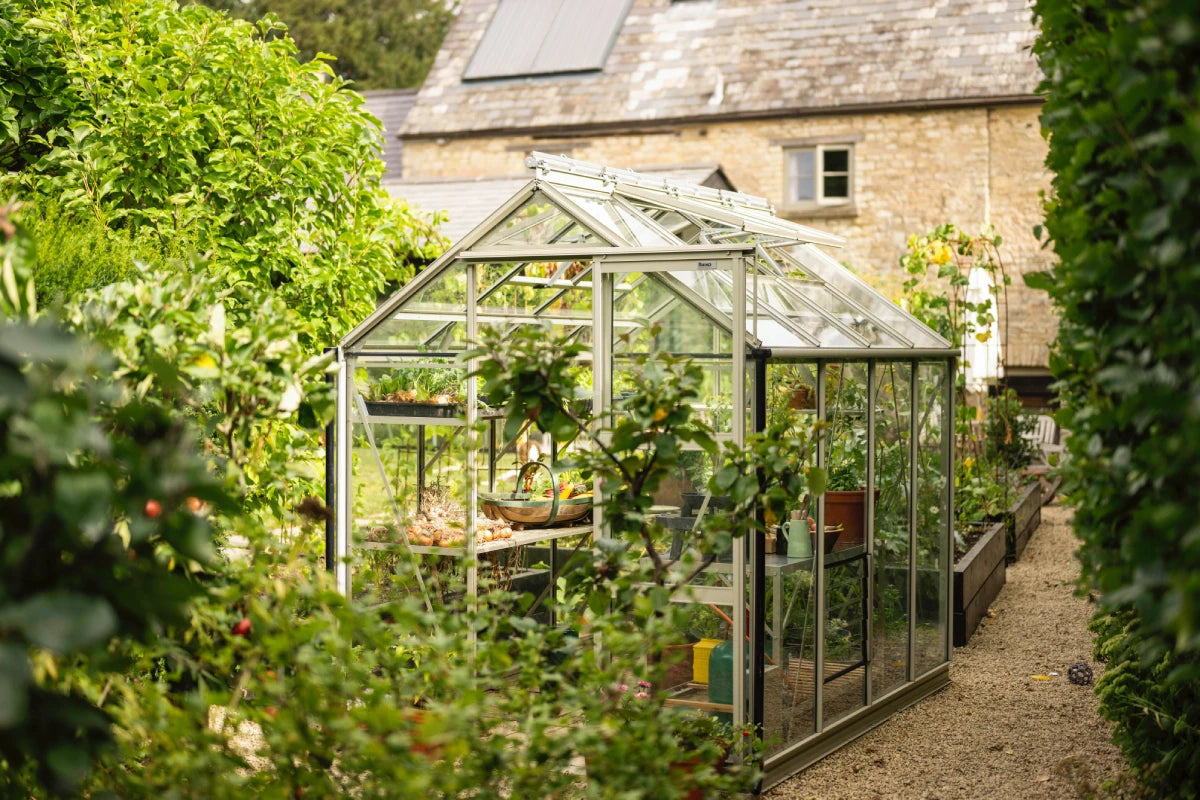 8ft Wide Greenhouses