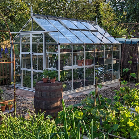 8x12 Greenhouse Antique Ivory Veg