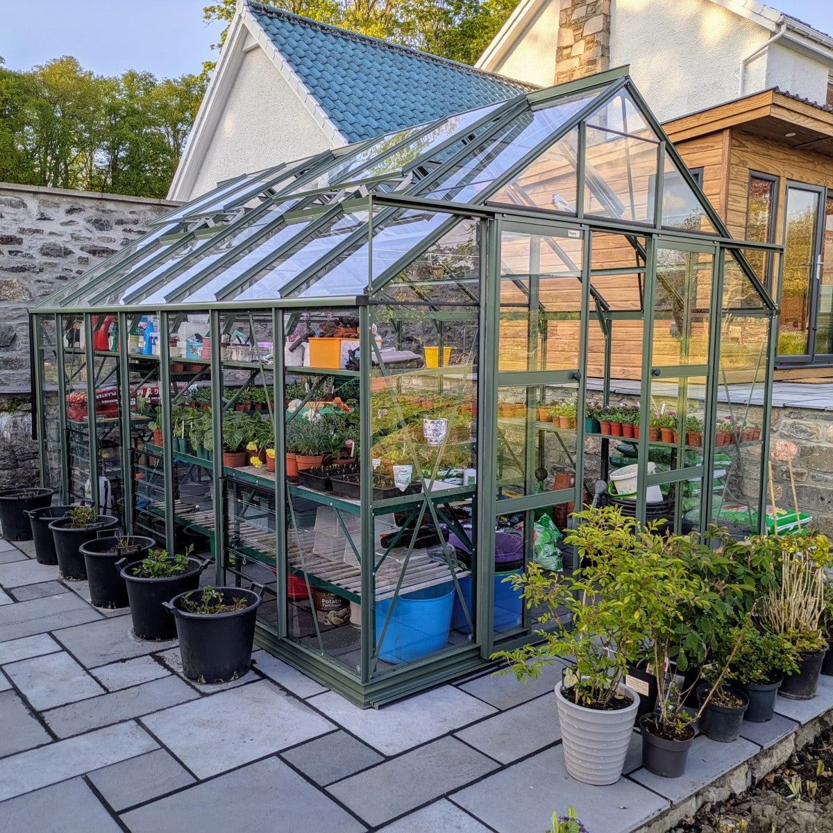 A green glass Rhino Greenhouse stands on a patio surrounded by potted plants. Inside, shelves display various gardening supplies and plants. Nearby, a stone wall and house are visible.