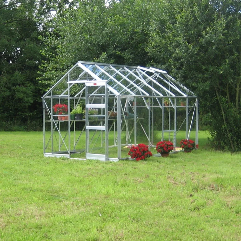 Elite Belmont Greenhouse 8x12