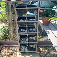A tiered metal shelf holds black seed trays, positioned inside a glass Rhino Greenhouse. Nearby, potted flowers and plants sit on a wooden bench, surrounded by pebbled ground.