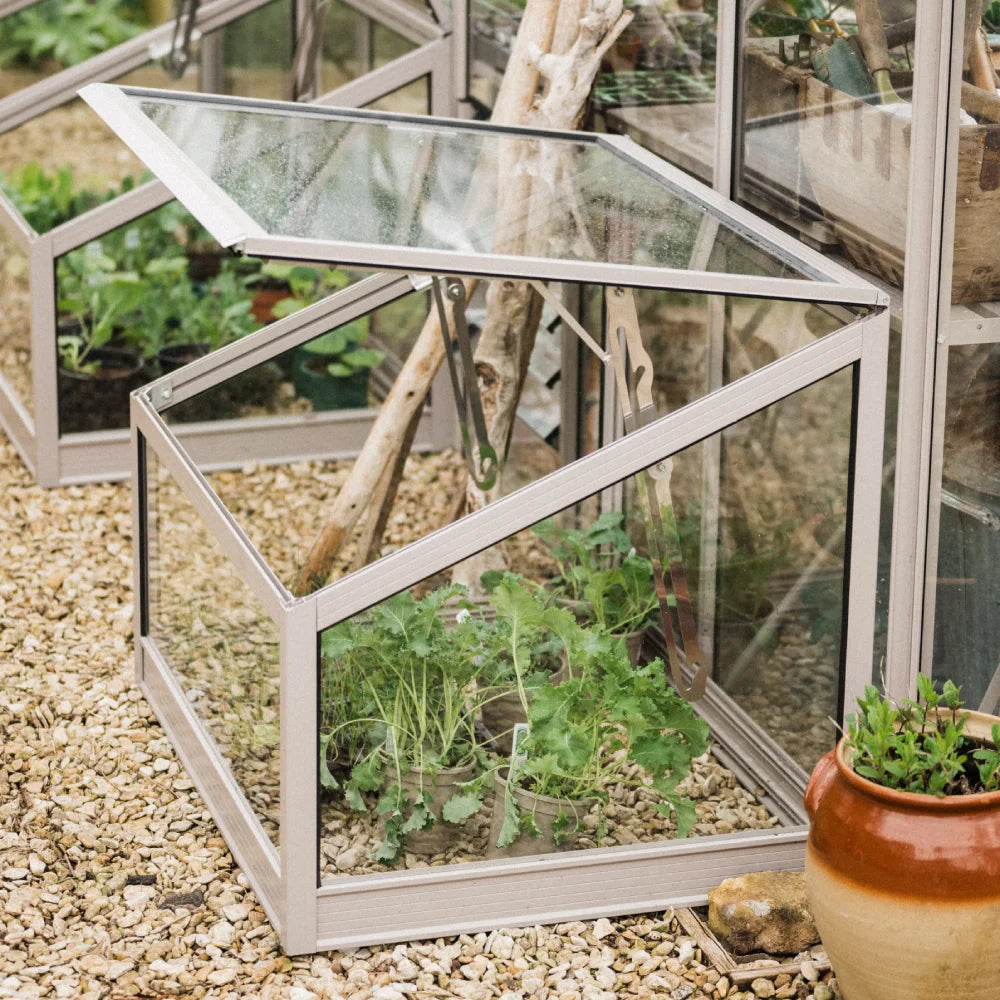 cold Frame with lid partially open