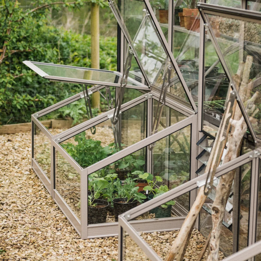 3 Cold Frames with lid fully open full of plants