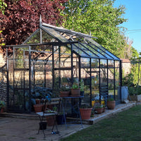 A glass Rhino Greenhouse stands on a stone patio, filled with plants and surrounded by trees. Various potted plants, a chair, and a table with more pots are placed nearby.