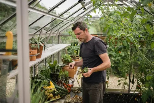 Man tending to plants in greenhouse