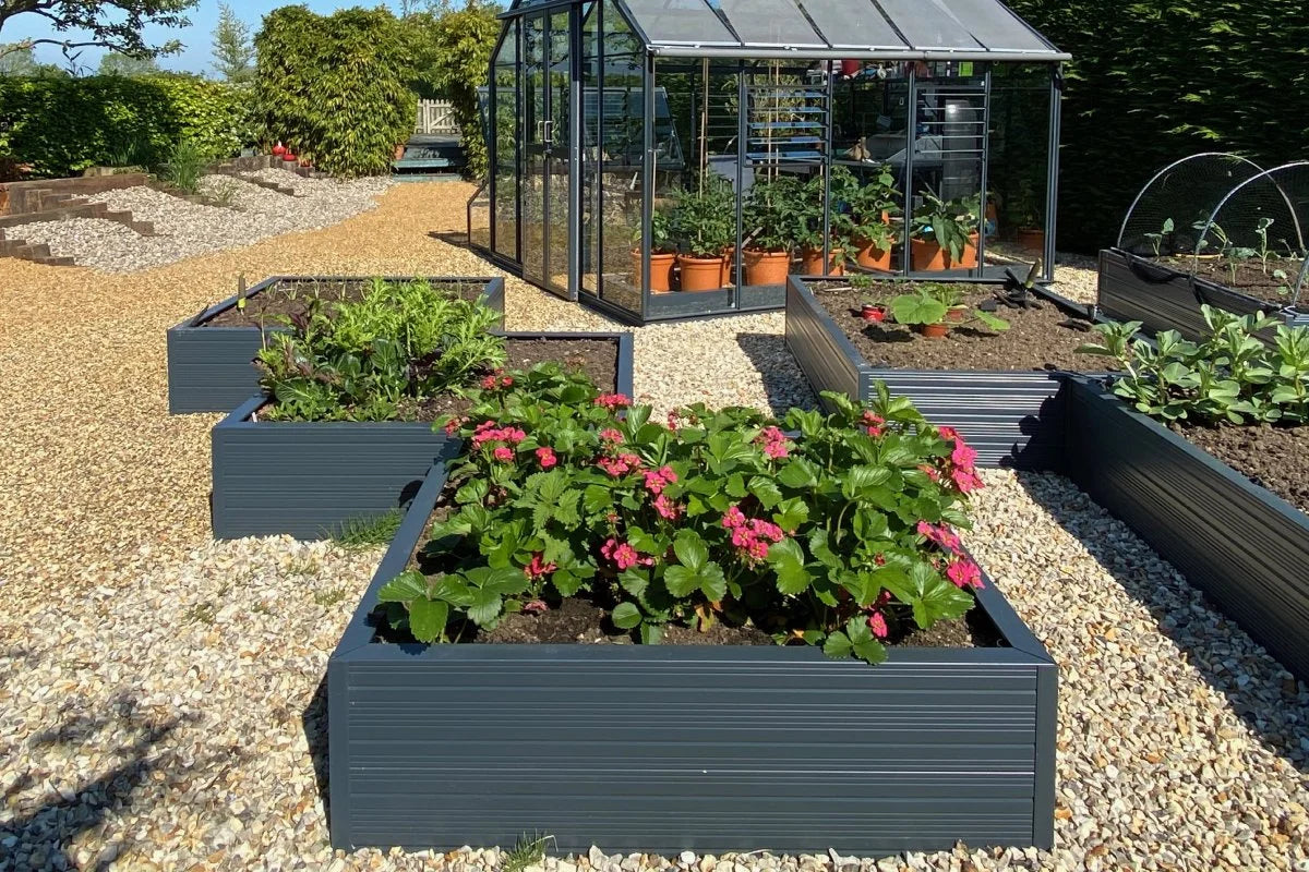 Rhino Raised Beds