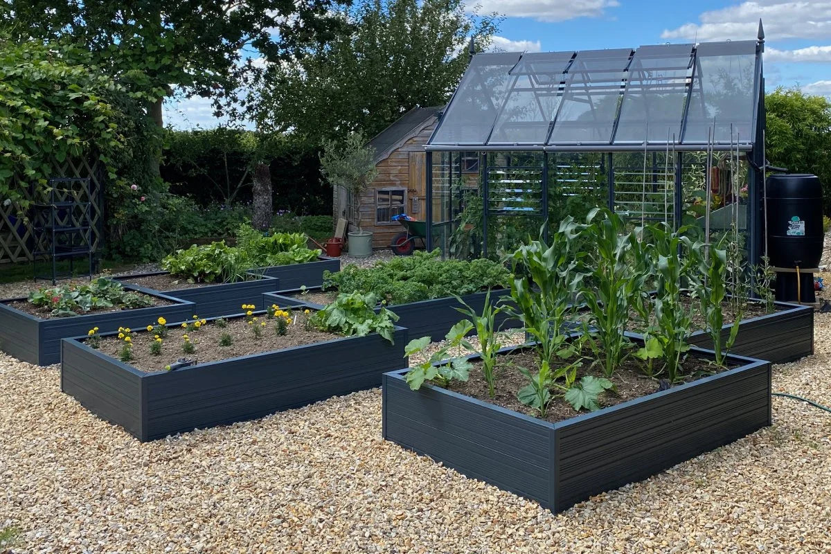 Rhino Raised Beds