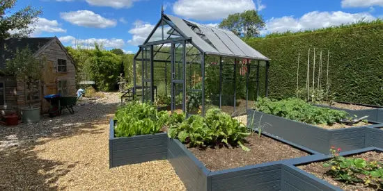 A transparent Rhino Greenhouse stands amidst a garden, surrounded by raised wooden planters containing green vegetables, under a blue sky with scattered clouds. In the background, a wooden shed is visible.