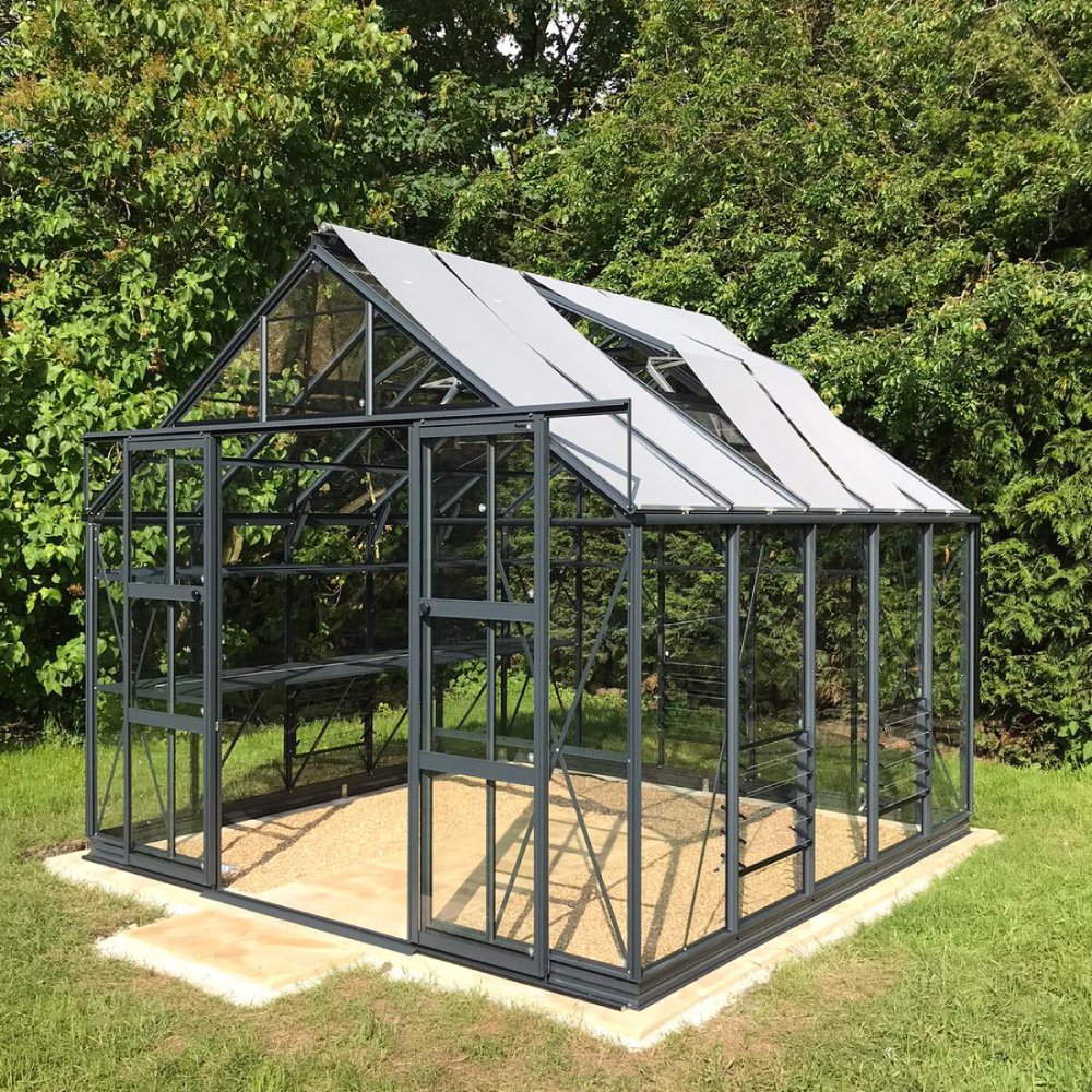 A glass and metal Rhino Greenhouse stands empty on a concrete slab, surrounded by lush green foliage. Sunlight filters through its transparent panels, highlighting its sturdy, modern structure.