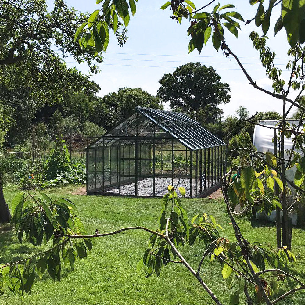 A Rhino Greenhouse stands on a lawn, surrounded by trees and garden plants under a clear sky. It's centrally positioned, with visible structural details and an adjacent raised bed.