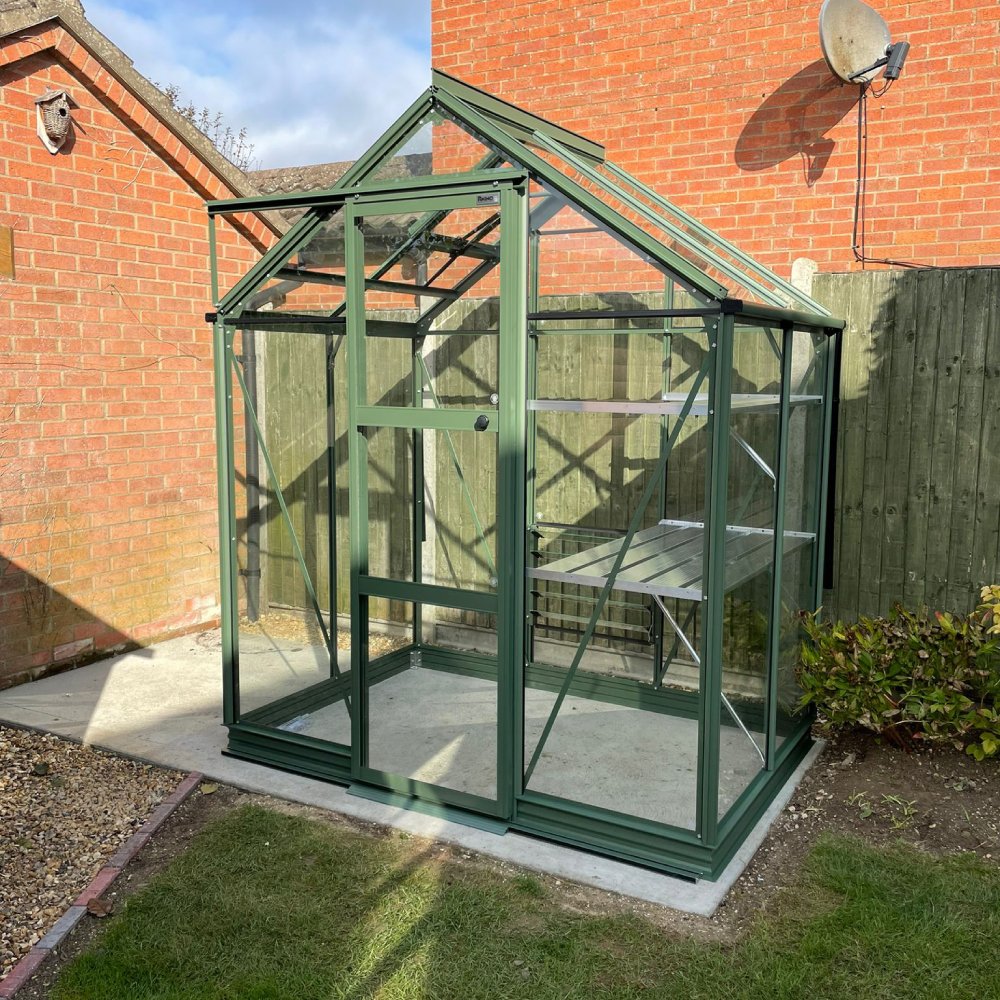 A small, green metal-framed Rhino Greenhouse stands in a garden, featuring clear panels and shelving inside, surrounded by a wooden fence and brick walls under a clear sky.
