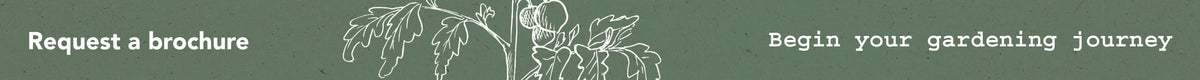 Mega Menu Footer Image