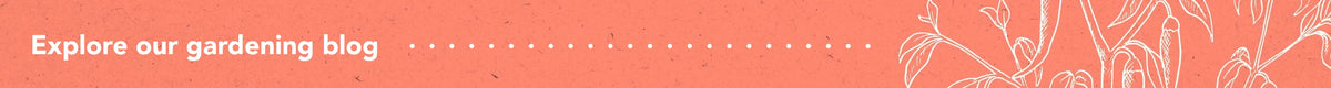 Mega Menu Footer Image