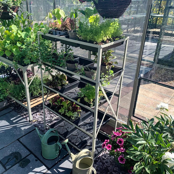 Rhino Seedrack 15 Tray