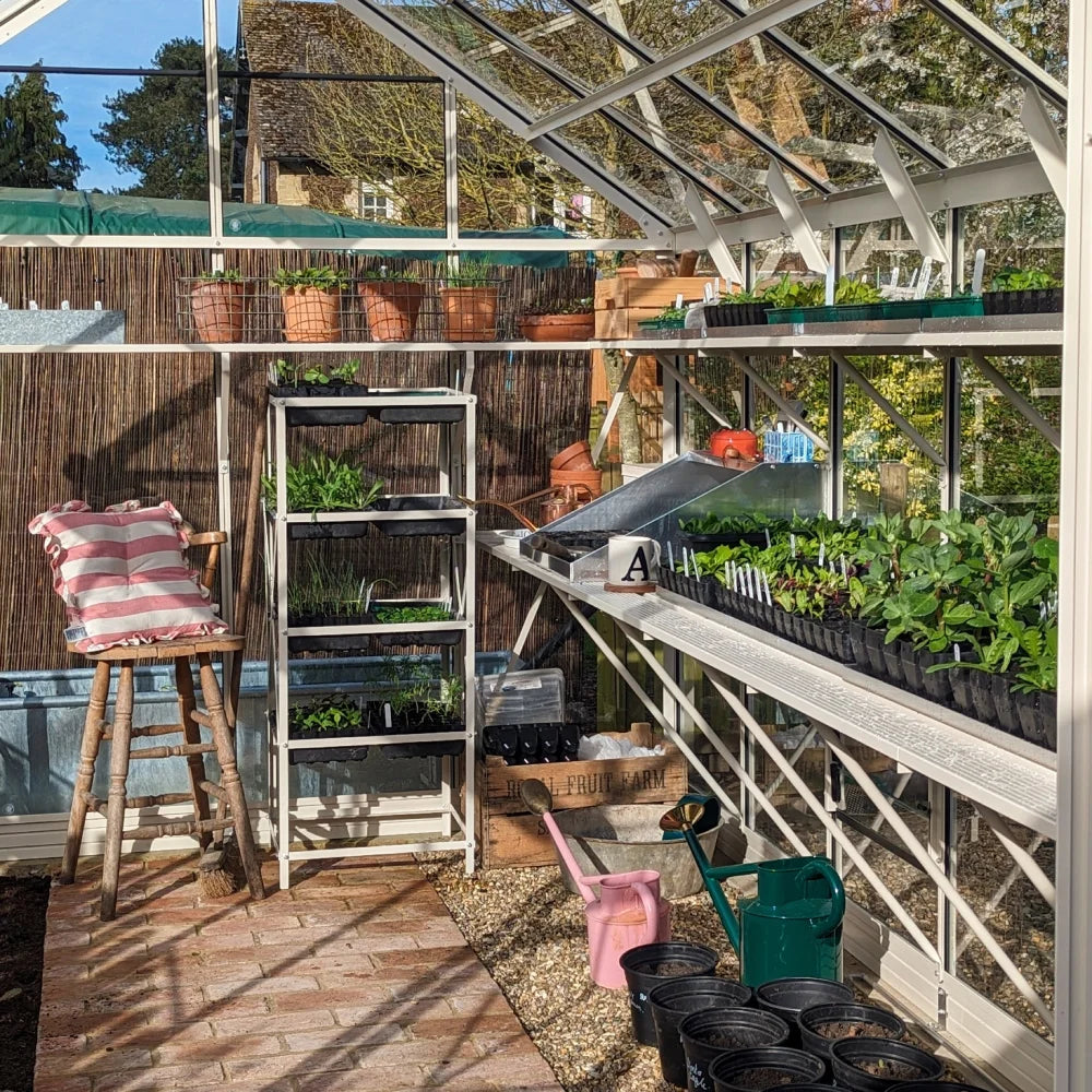 Vegetables in a greenhouse