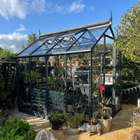 A glass Rhino Greenhouse containing various potted plants stands on a sunlit patio, surrounded by greenery and decorative garden items, under a blue sky with scattered clouds.
