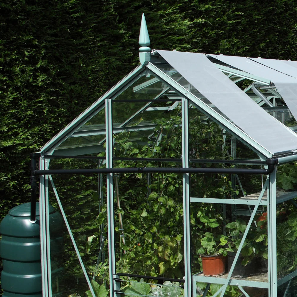 A pointed-roof Rhino Greenhouse is filled with lush green plants on tiered shelves, set against a dark green hedge. A green water barrel stands beside the structure.