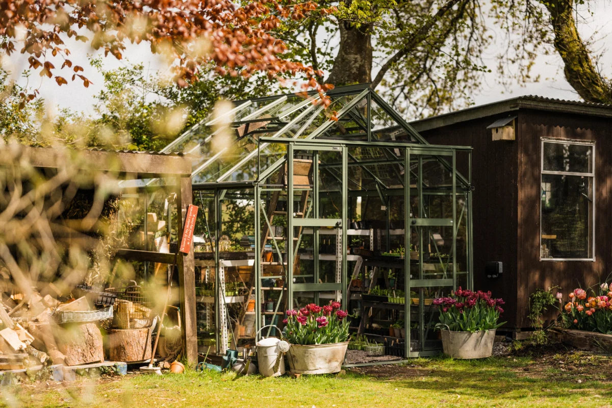 Green Framed Greenhouses