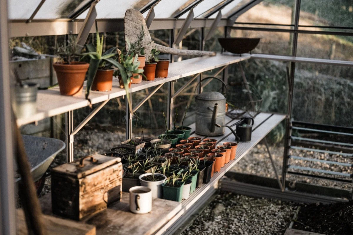 Greenhouse Staging & Shelving