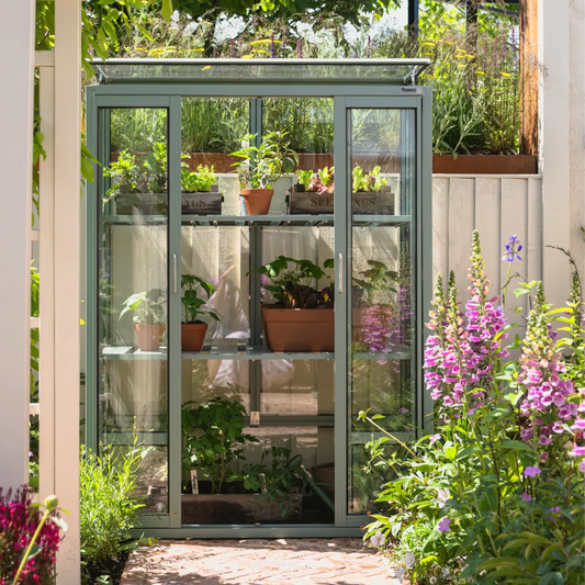 Rhino Ultimate Patio Greenhouse at Chelsea Flower Show