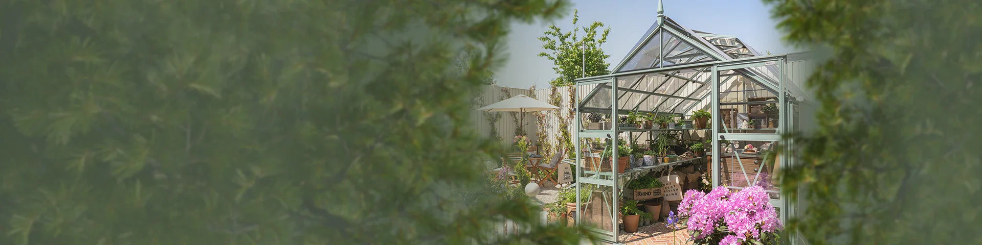 Rhino 8x10 Premium greenhouse at Chelsea Flower Show