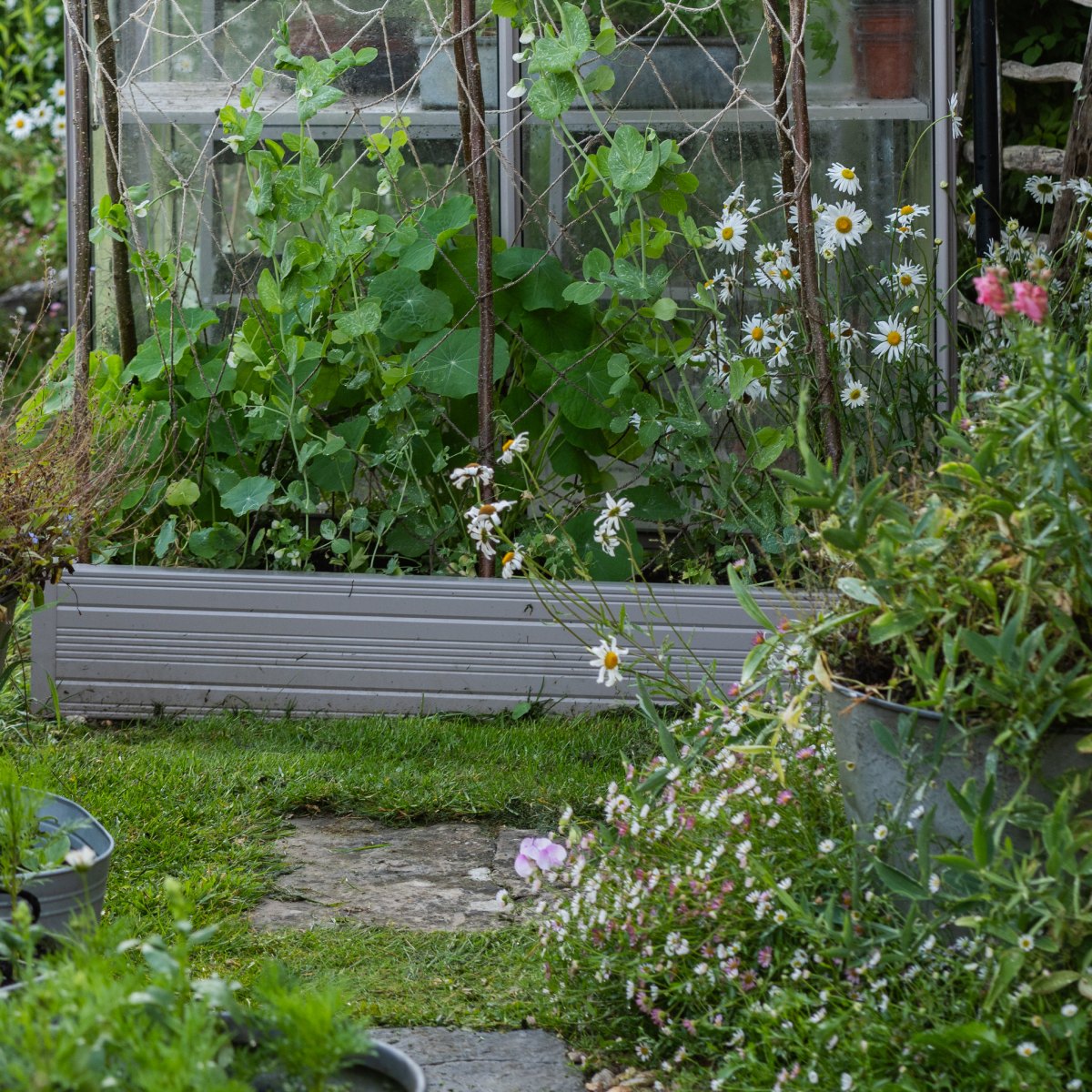Rhino Aluminium Raised Bed 2ft x 4ft - Single Tier